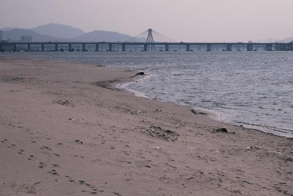 올림픽대교