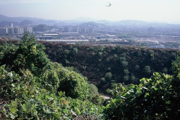 성산동 | 서울연구데이터서비스