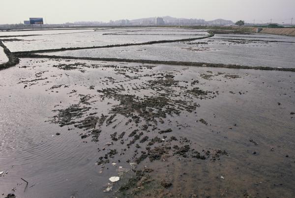 마곡지구(동북쪽방향)