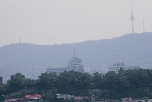 삼선동 일대