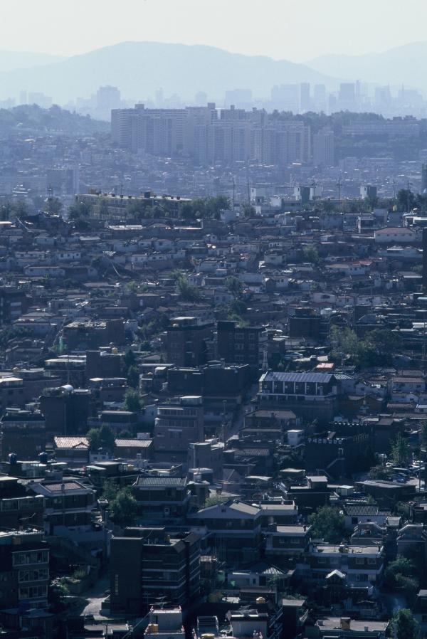 동선동 지역