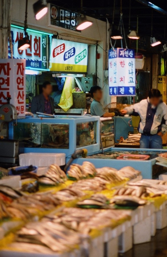 가락동 농수산물시장 내부