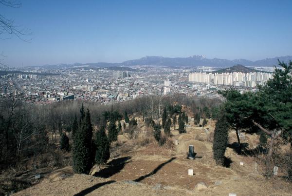 망우산 일대