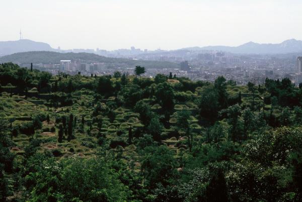 망우산 일대