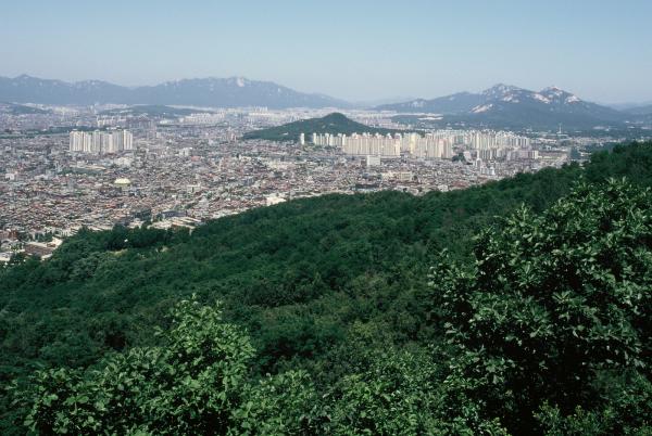 망우산 일대