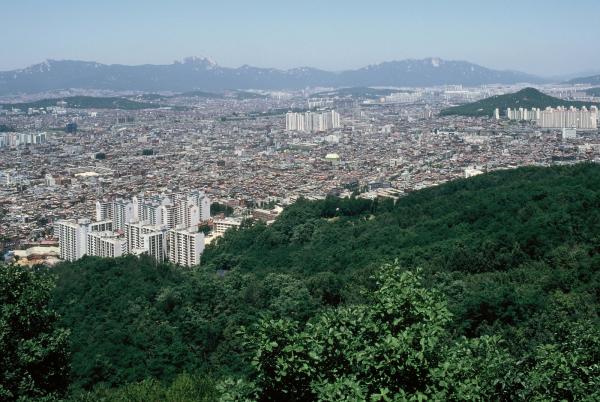 망우산 일대