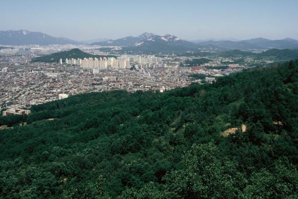 망우산 일대