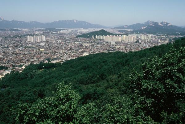 망우산 일대