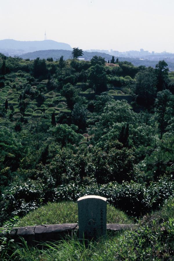 망우산 일대