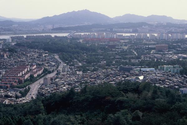 서울 도심