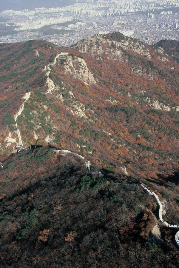 관악구 지역