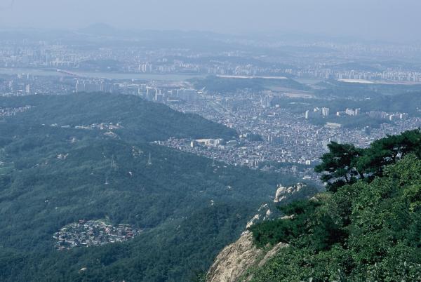 관악구 지역