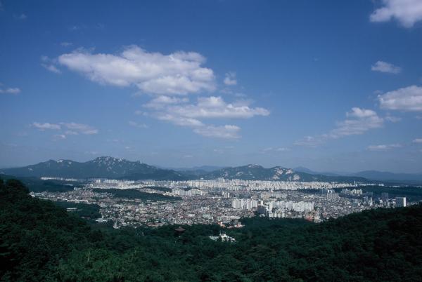 관악구