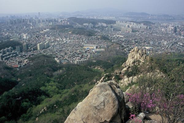 관악구