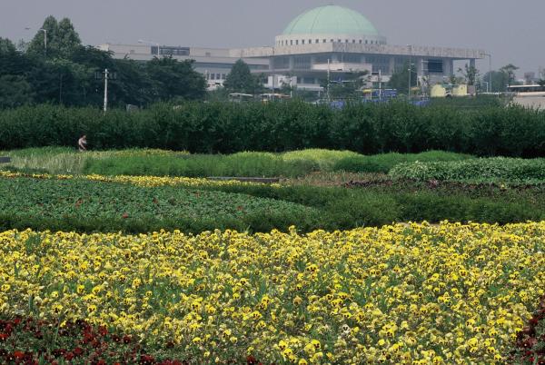 여의도 한강시민공원 자연학습장
