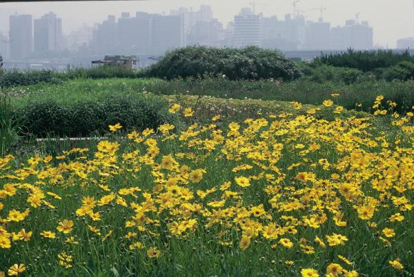 여의도 한강시민공원 자연학습장