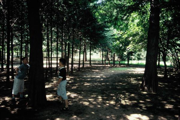 양재동 양재 시민의 숲