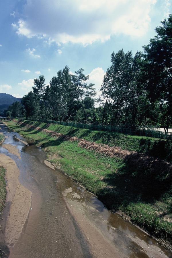 양재동 양재 시민의 숲