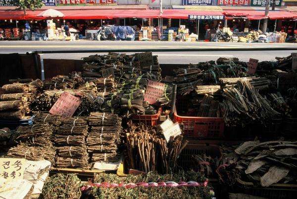경동약령시장 내부