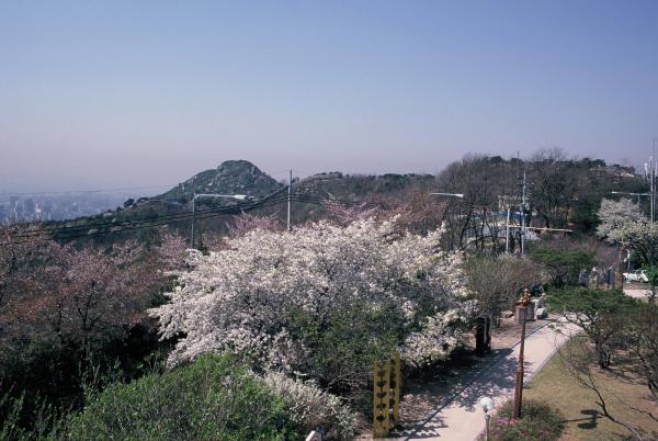 북악스카이웨이 주변