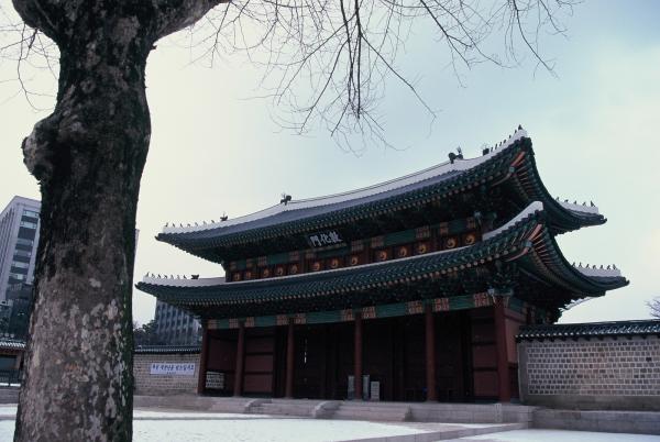 돈화문
