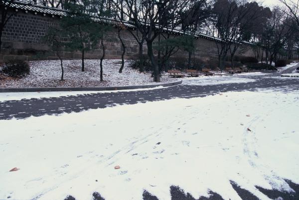 돈화문