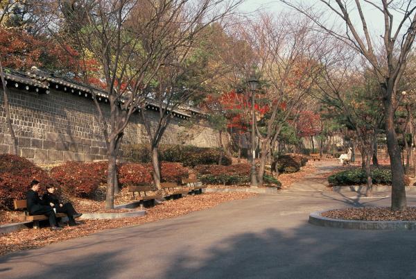 돈화문 앞 공원