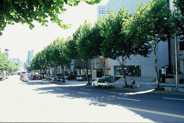 청담동 패션거리