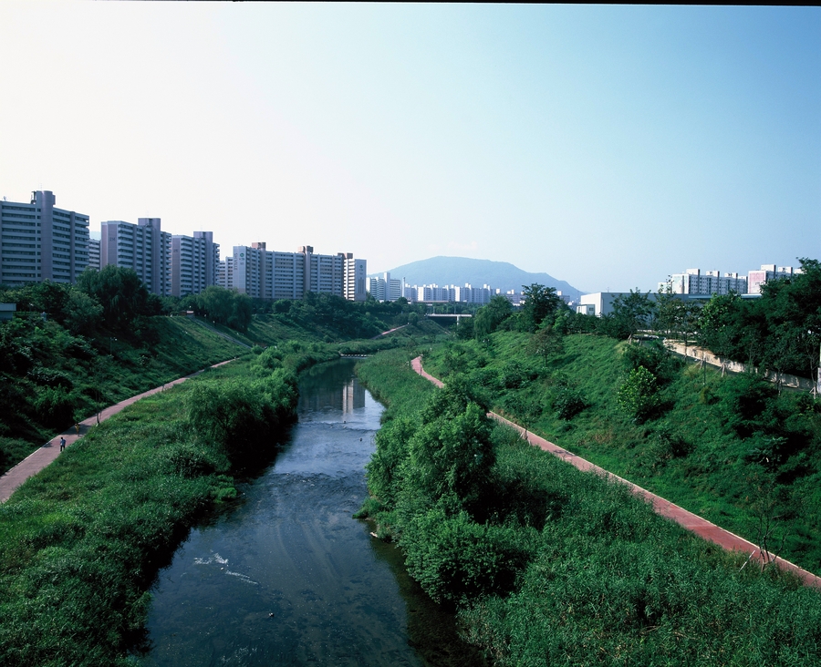 탄천 및 대치동 대치교