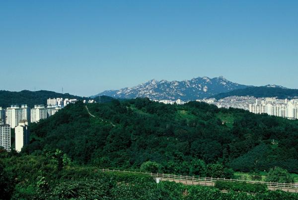 매봉산