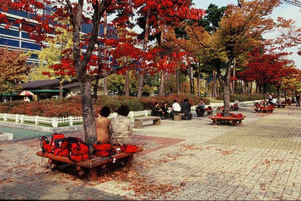 영등포구 여의도동