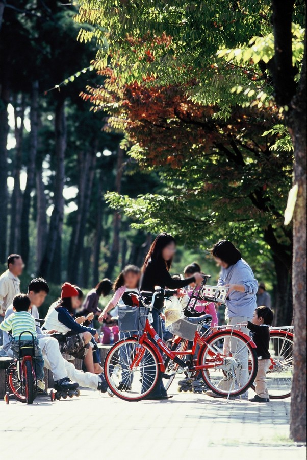 자전거타는사람들