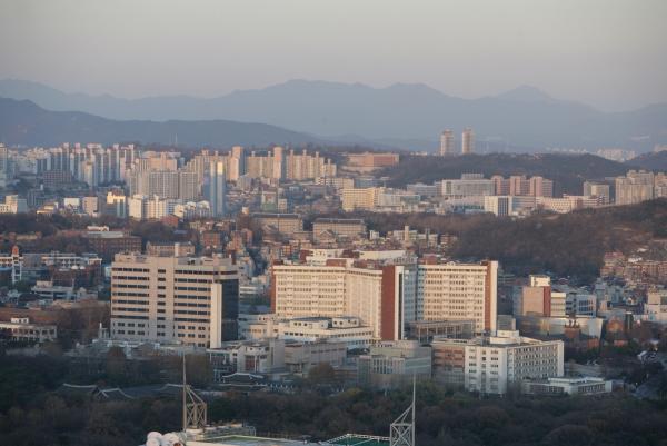 서울대학교병원