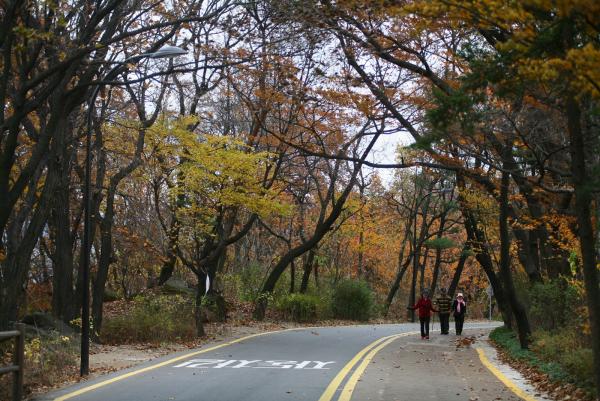 남산