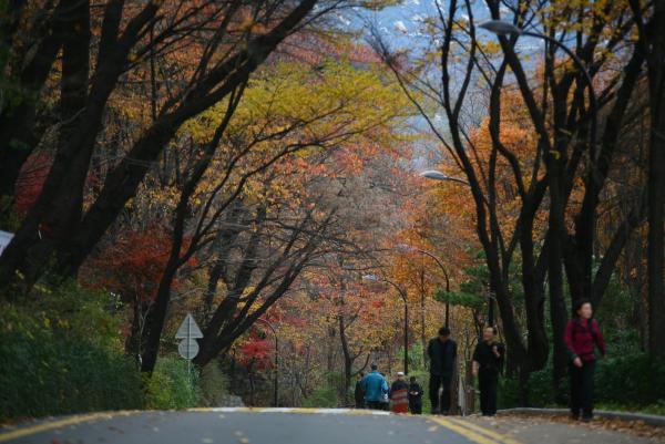 남산