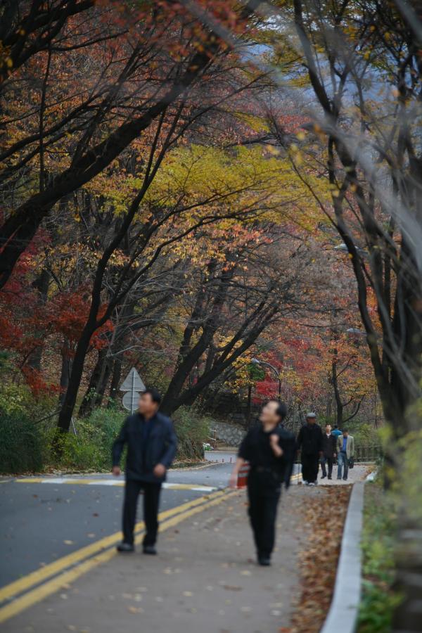 남산