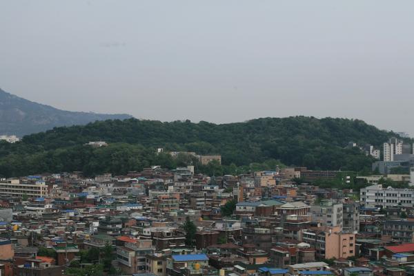 배봉산