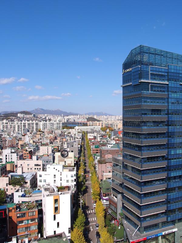 가로수길