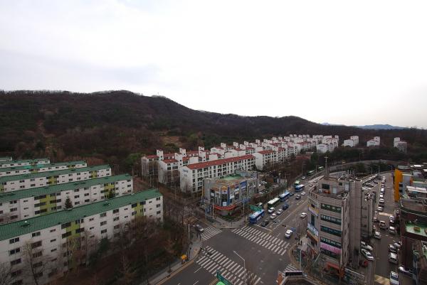 대모산