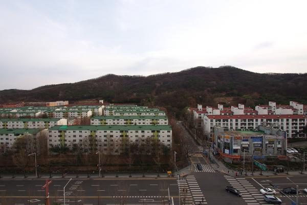 대모산