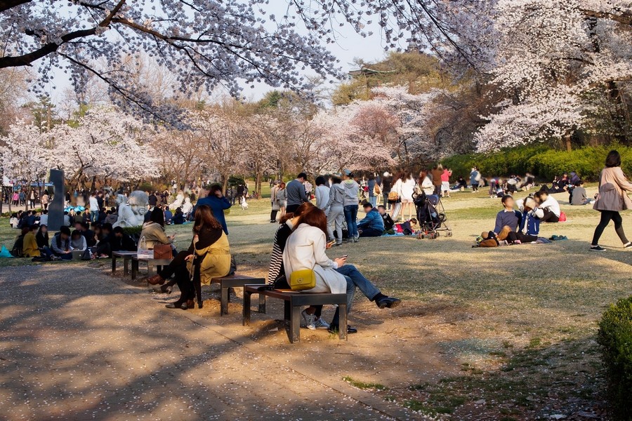 어린이대공원(계절사진)