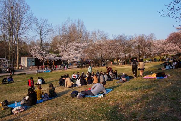 어린이대공원(계절사진)