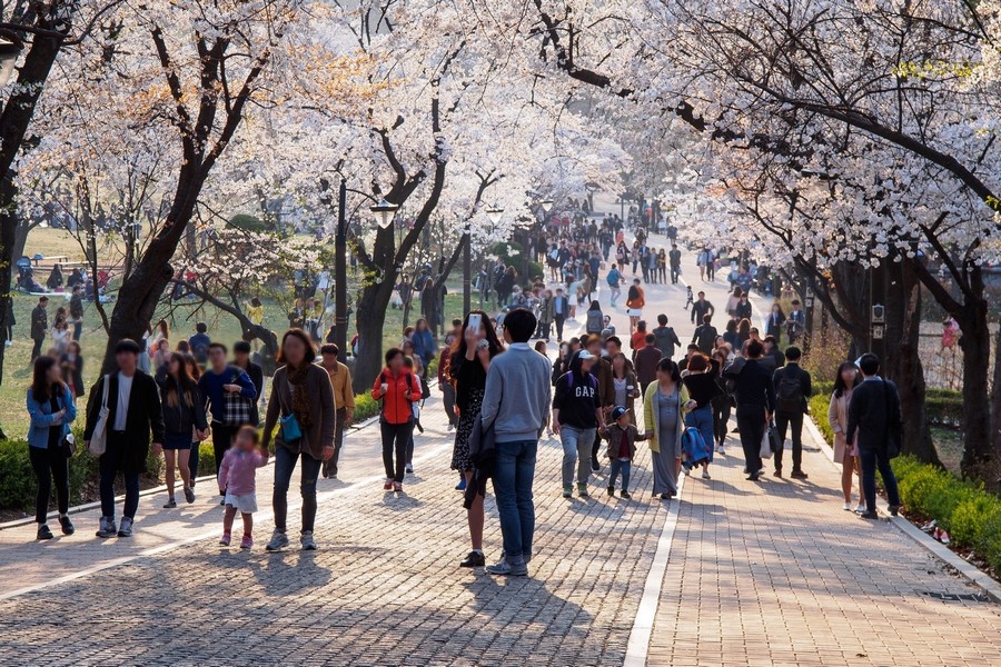 어린이대공원(계절사진)