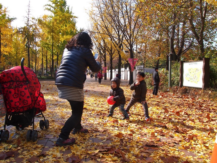 어린이대공원(계절사진)
