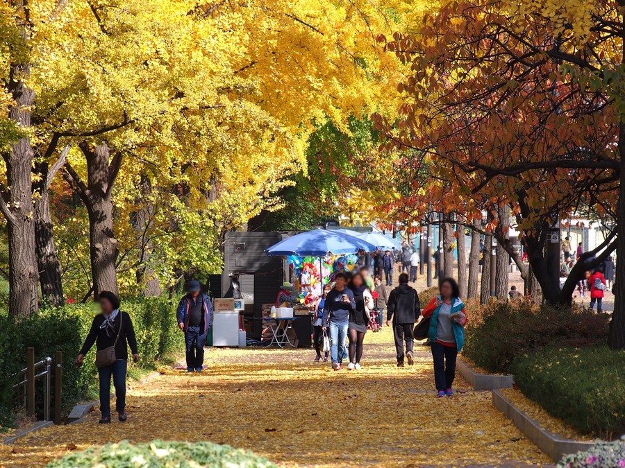 어린이대공원(계절사진)