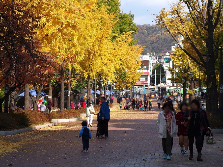 어린이대공원(계절사진)