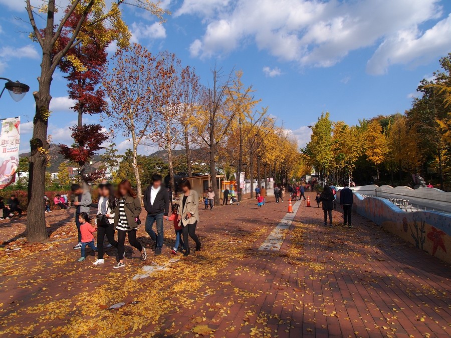 어린이대공원(계절사진)