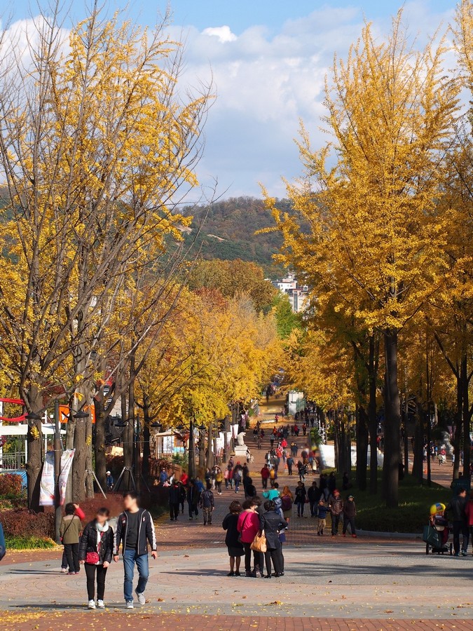 어린이대공원(계절사진)