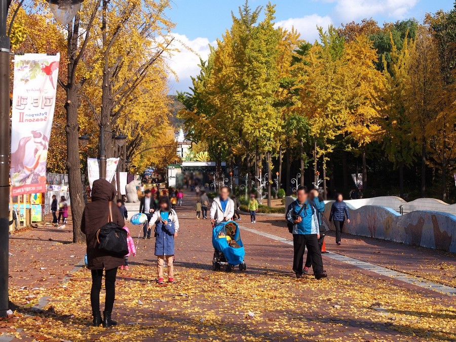 어린이대공원(계절사진)