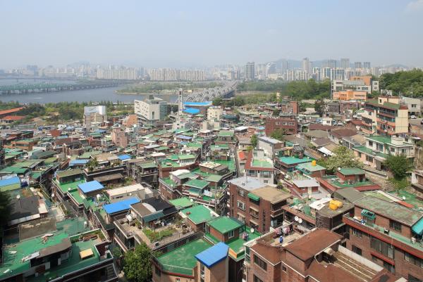 본동
